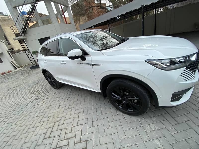 Haval H6 HEV 2024 3