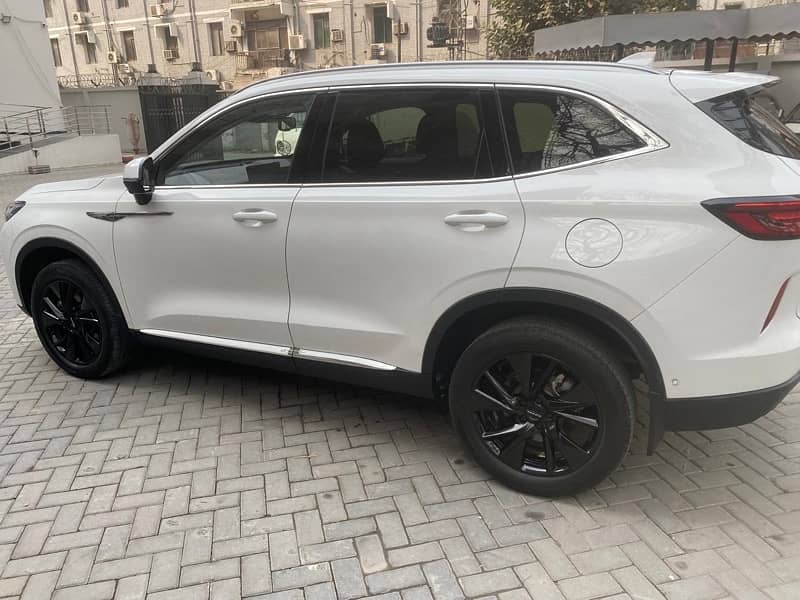 Haval H6 HEV 2024 4