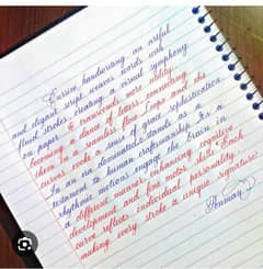 handwriting assignment work