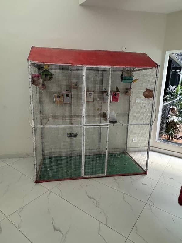 7 pairs of Lovebirds with large cage 0