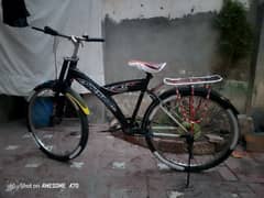 cycle for sale