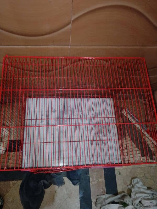 Cage for sale 03288104963 2