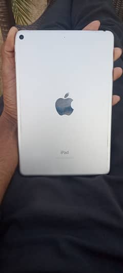 iPad mini 5