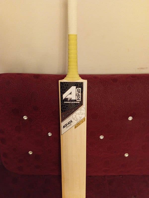 Cricket Bat  from UK 1