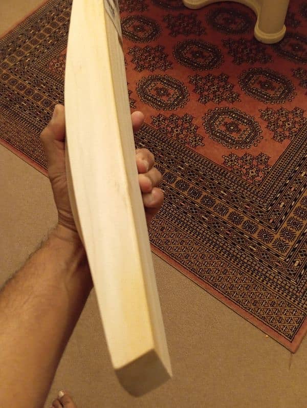 Cricket Bat  from UK 7