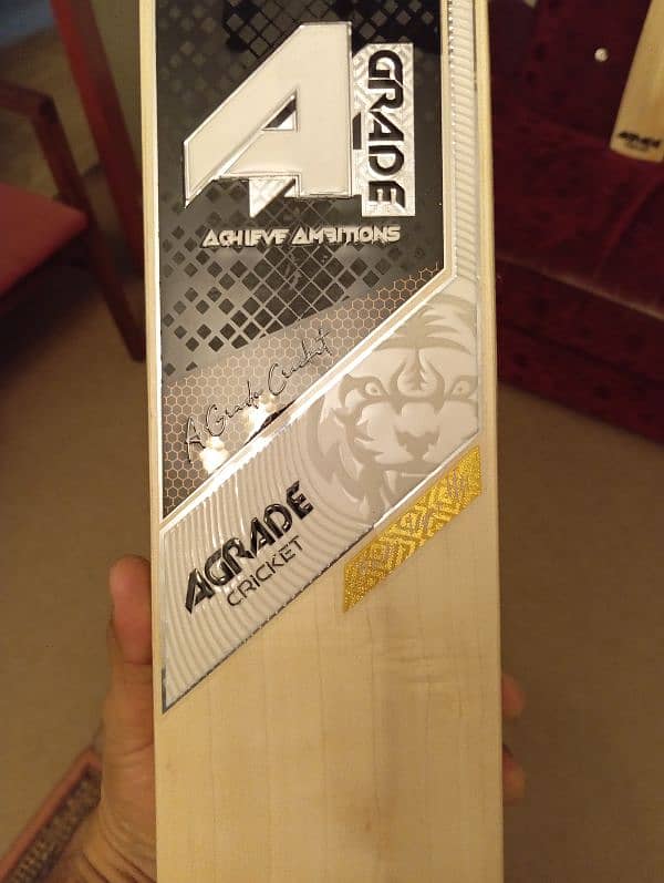 Cricket Bat  from UK 9