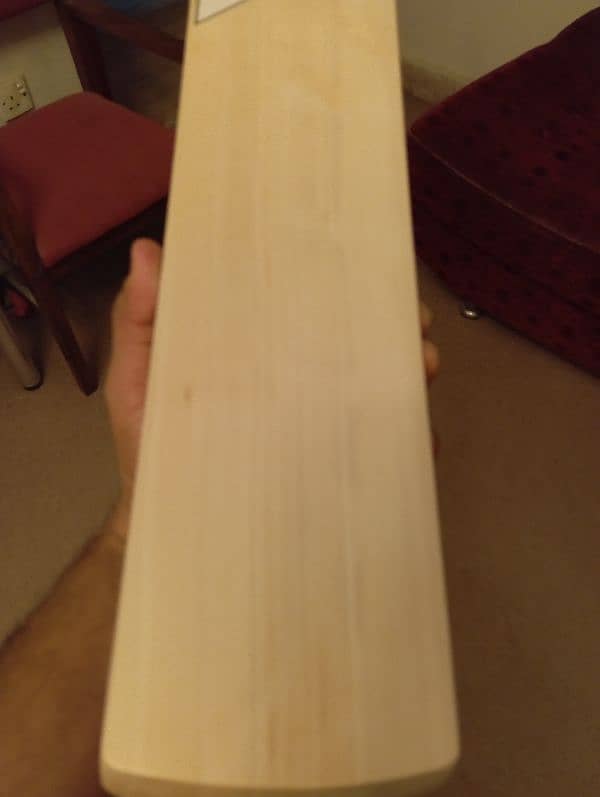 Cricket Bat  from UK 10