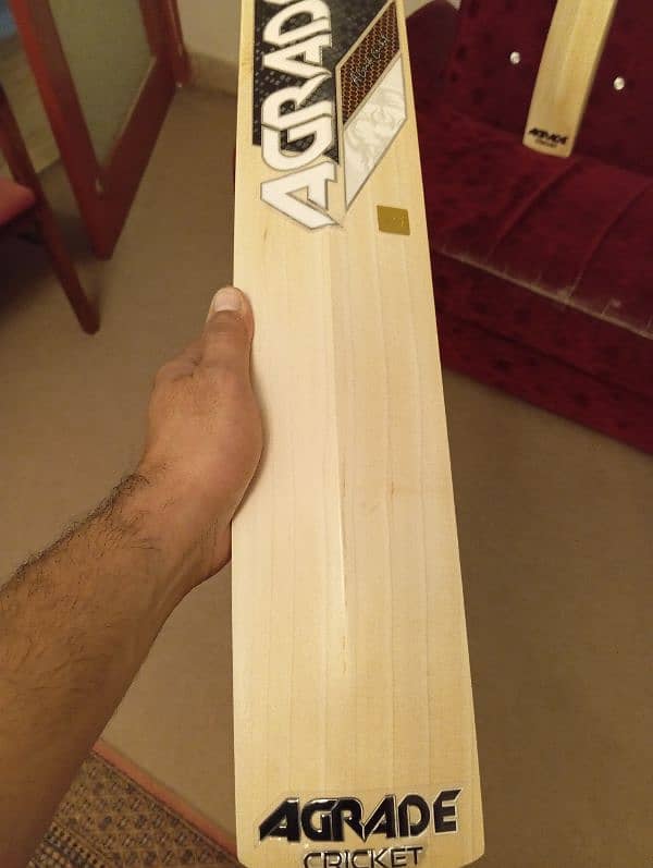 Cricket Bat  from UK 11