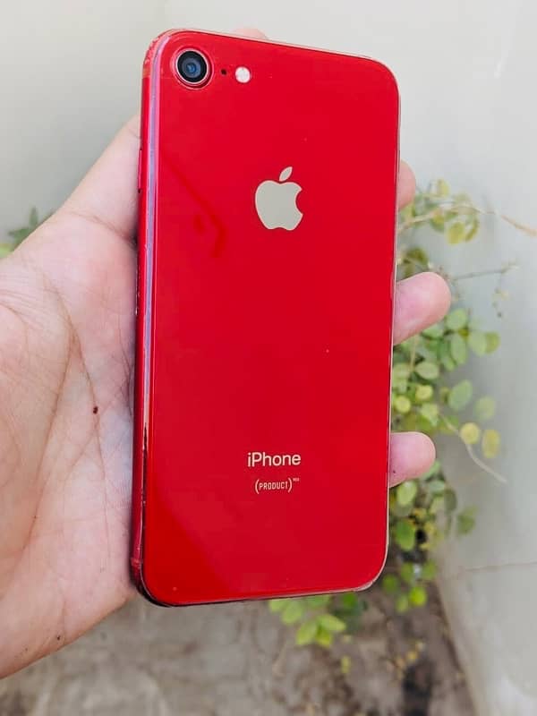 iPhone 8 pta approved 7