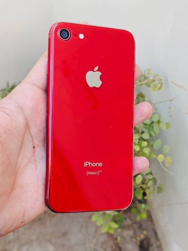 iPhone 8 pta approved 8