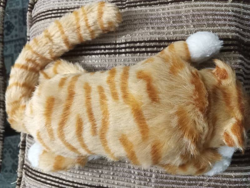 Laughing Toy cat 1