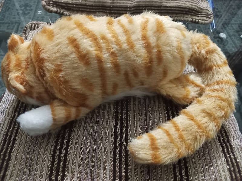 Laughing Toy cat 3