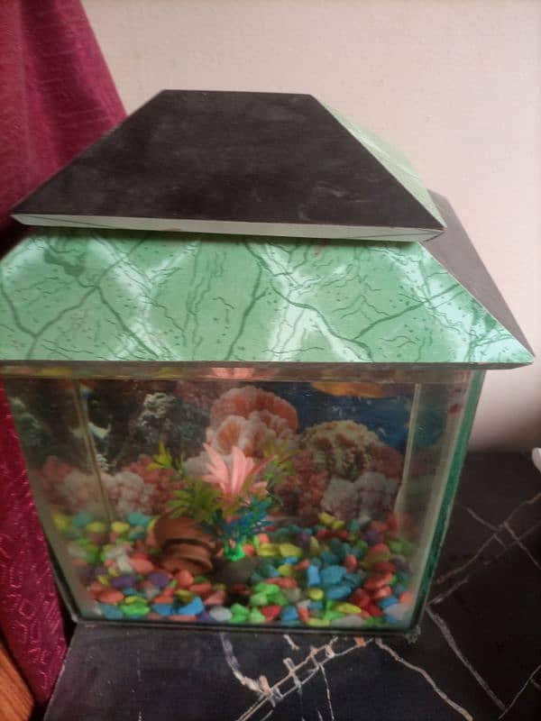 Aquarium for sale 3