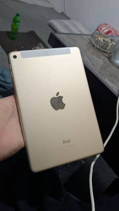 Ipad mini 4