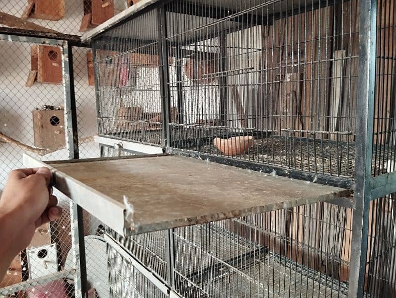 birds cage | cages | birds | cat cages 3