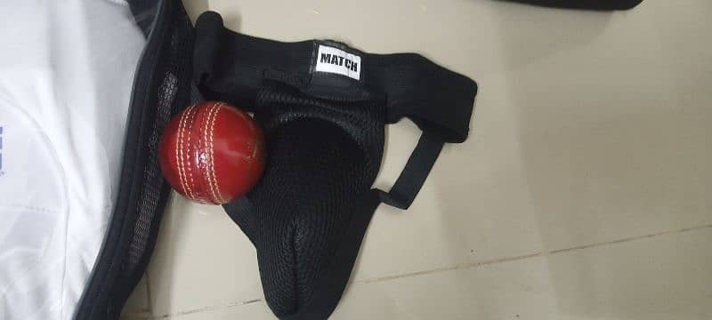 Cricket Kit 5