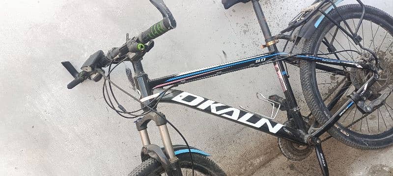 DKALN Bicycle for Sale 2