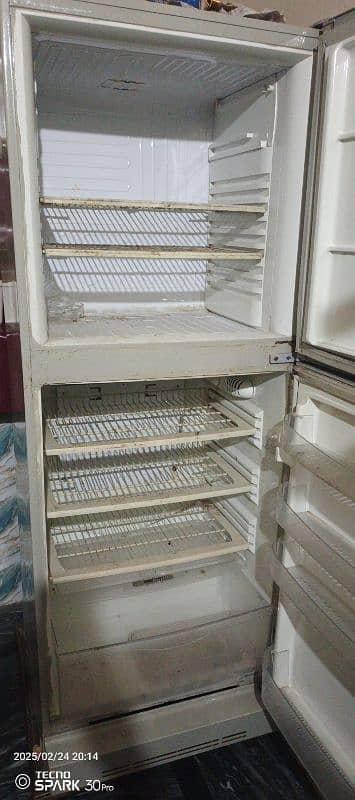 pel refrigerator full size condition 10/9 0