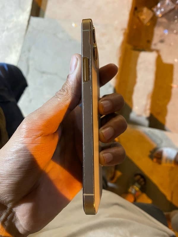 iPhone 12 Pro non pta 2