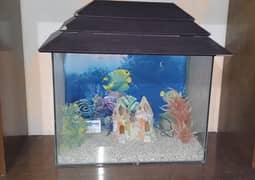 Fish aquarium set (not used)