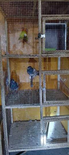 cage birds 2week use 10(10 halt ha 03094506380