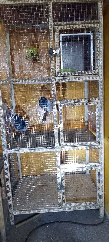 cage birds 2week use 10(10 halt ha 03094506380 1