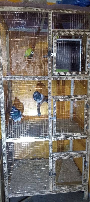 cage birds 2week use 10(10 halt ha 03094506380 3