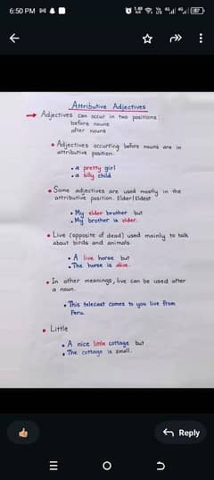 provide onlion handwriting assignment work