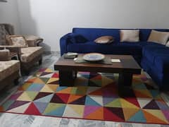 Multi Color Rug (Centre Piece)