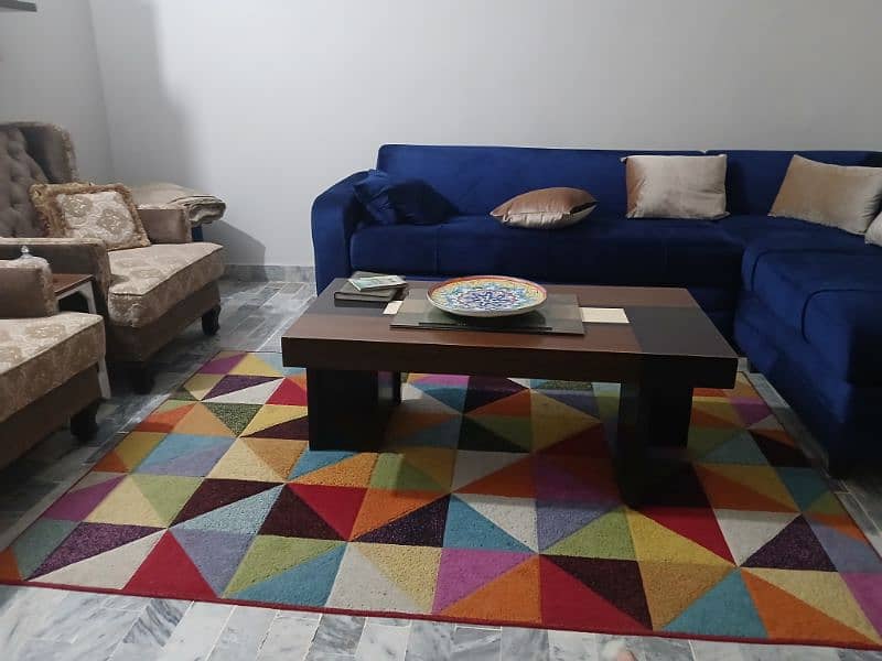 Multi Color Rug (Centre Piece) 0