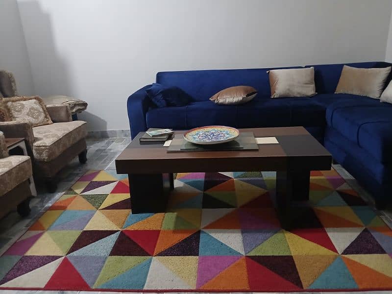 Multi Color Rug (Centre Piece) 1