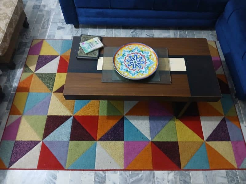 Multi Color Rug (Centre Piece) 2