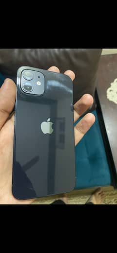 Apple iPhone 12