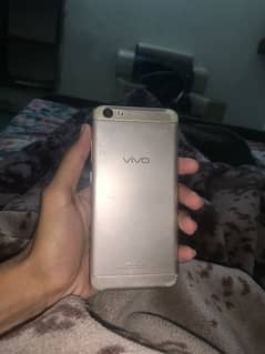 vivo