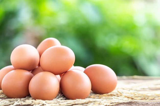 Fresh Organic Eggs - Desi Eggs - Fertile Eggs 1