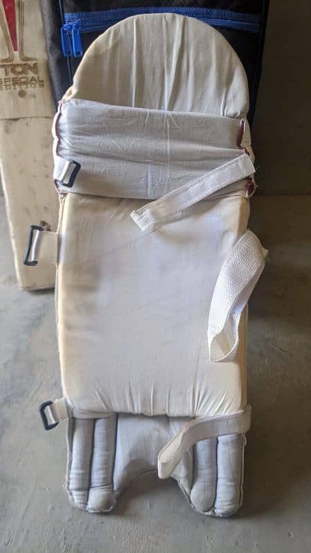 cricket kit 1