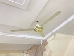 Super Asia copper Fan