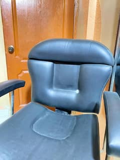 Beauty Parlor Chair