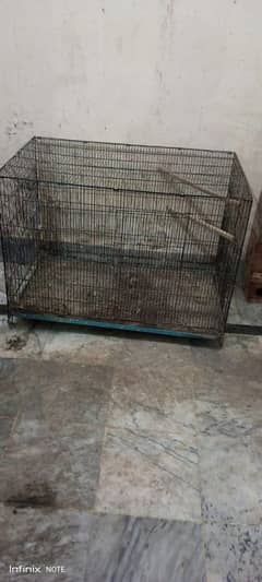 RING NECK FOLDING CAGE And love bird box