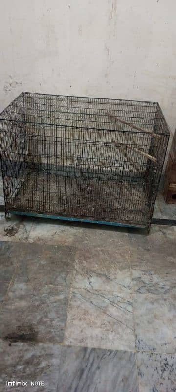 RING NECK FOLDING CAGE And love bird box 0