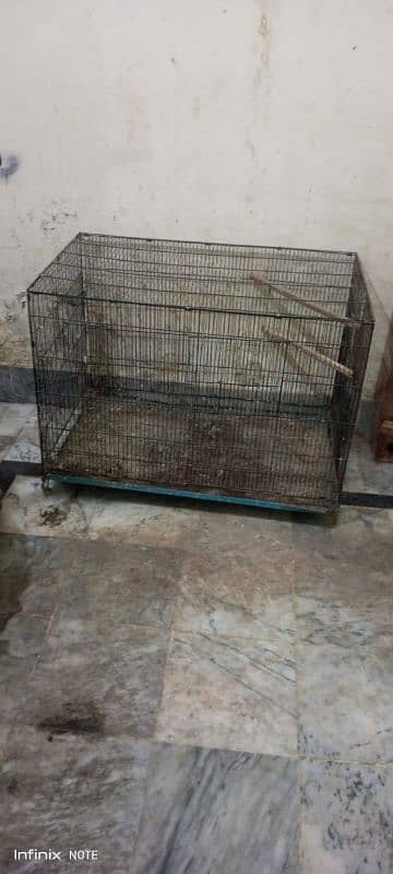 RING NECK FOLDING CAGE And love bird box 1