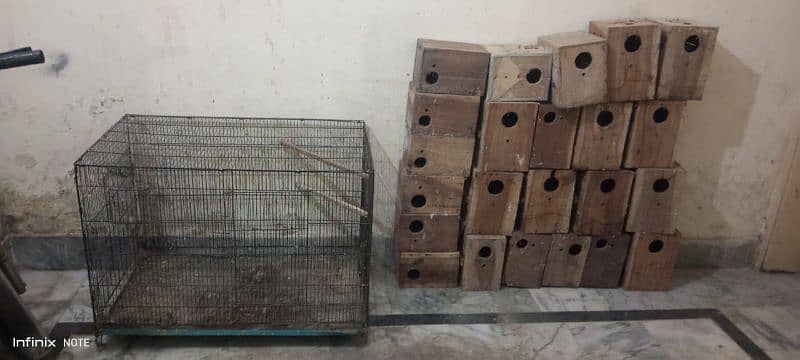 RING NECK FOLDING CAGE And love bird box 2