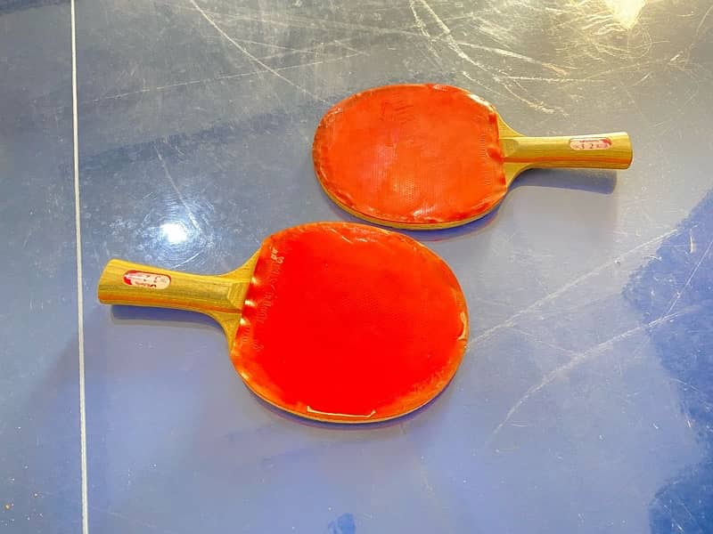 table tennis with pair of Rackets 3