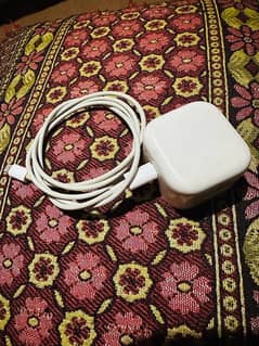 iPhone . original . charger /20w