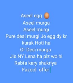 aseel egg murgi murga pure desi murgi Desi murga kurak hen