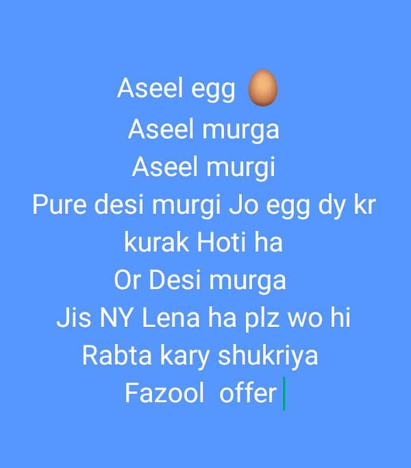 aseel egg murgi murga pure desi murgi Desi murga kurak hen 0