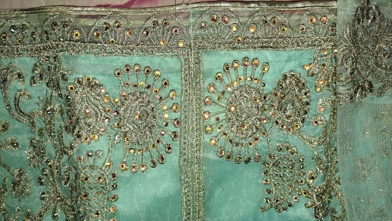 Beautiful Greenish color Gharara Suit with dopatta 3