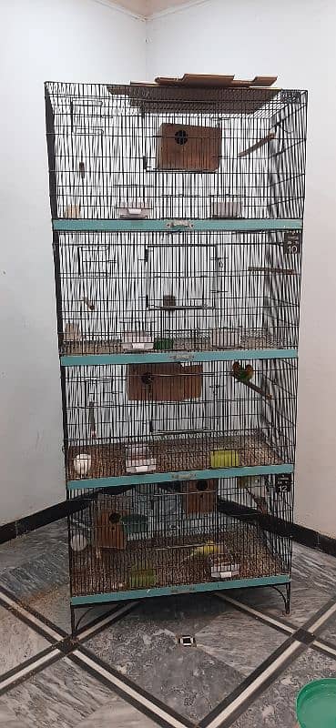 parrot  kage available in good price 0