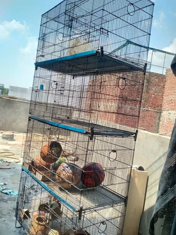 Hens and parrots cage for sale in good condition 1