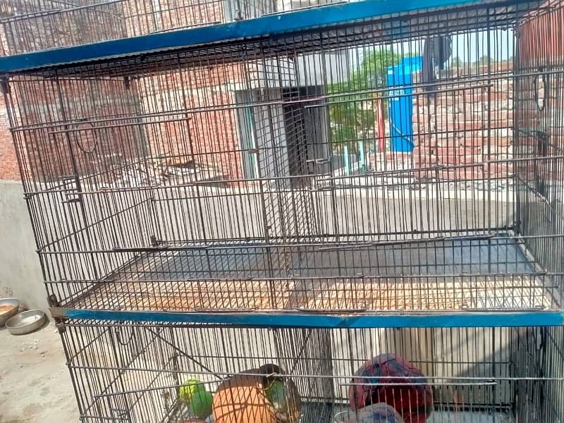 Hens and parrots cage for sale in good condition 2